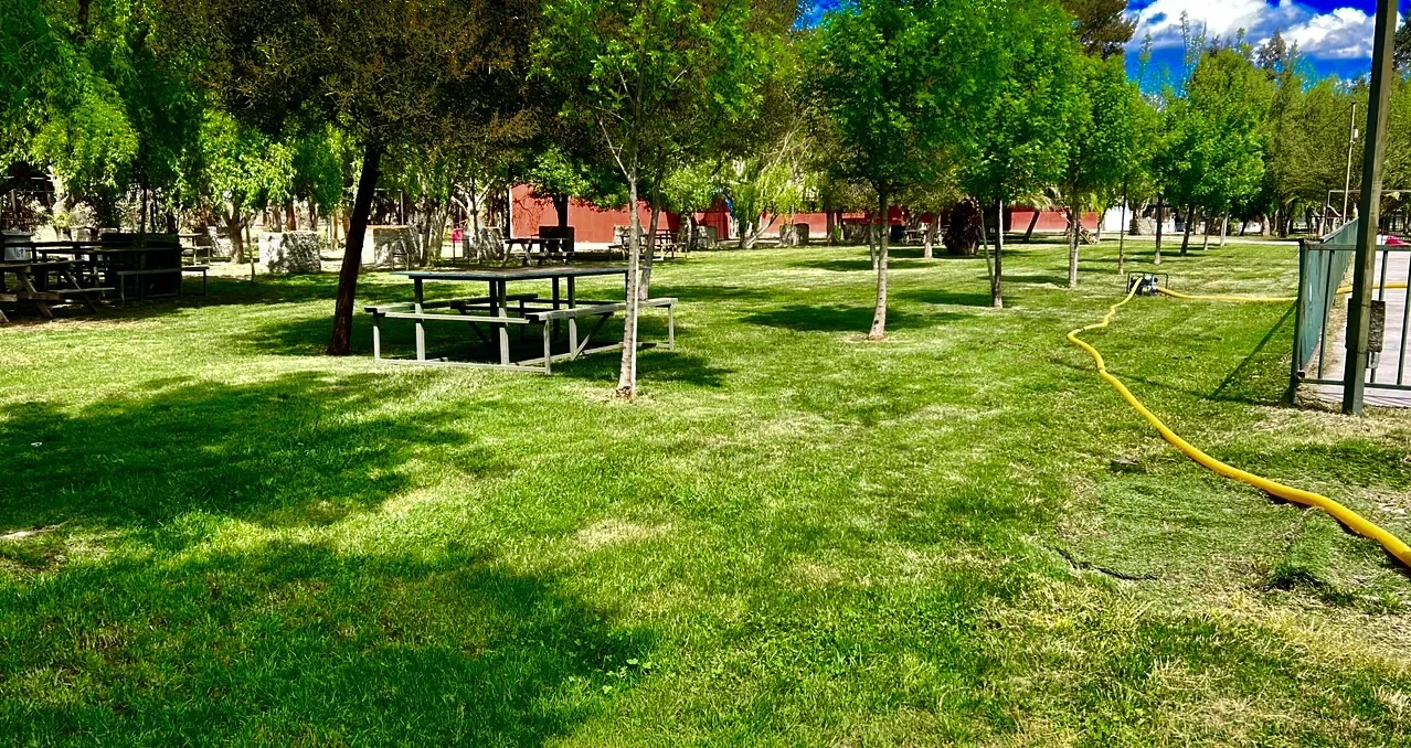 Mesas de picnic entre los árboles del parque
