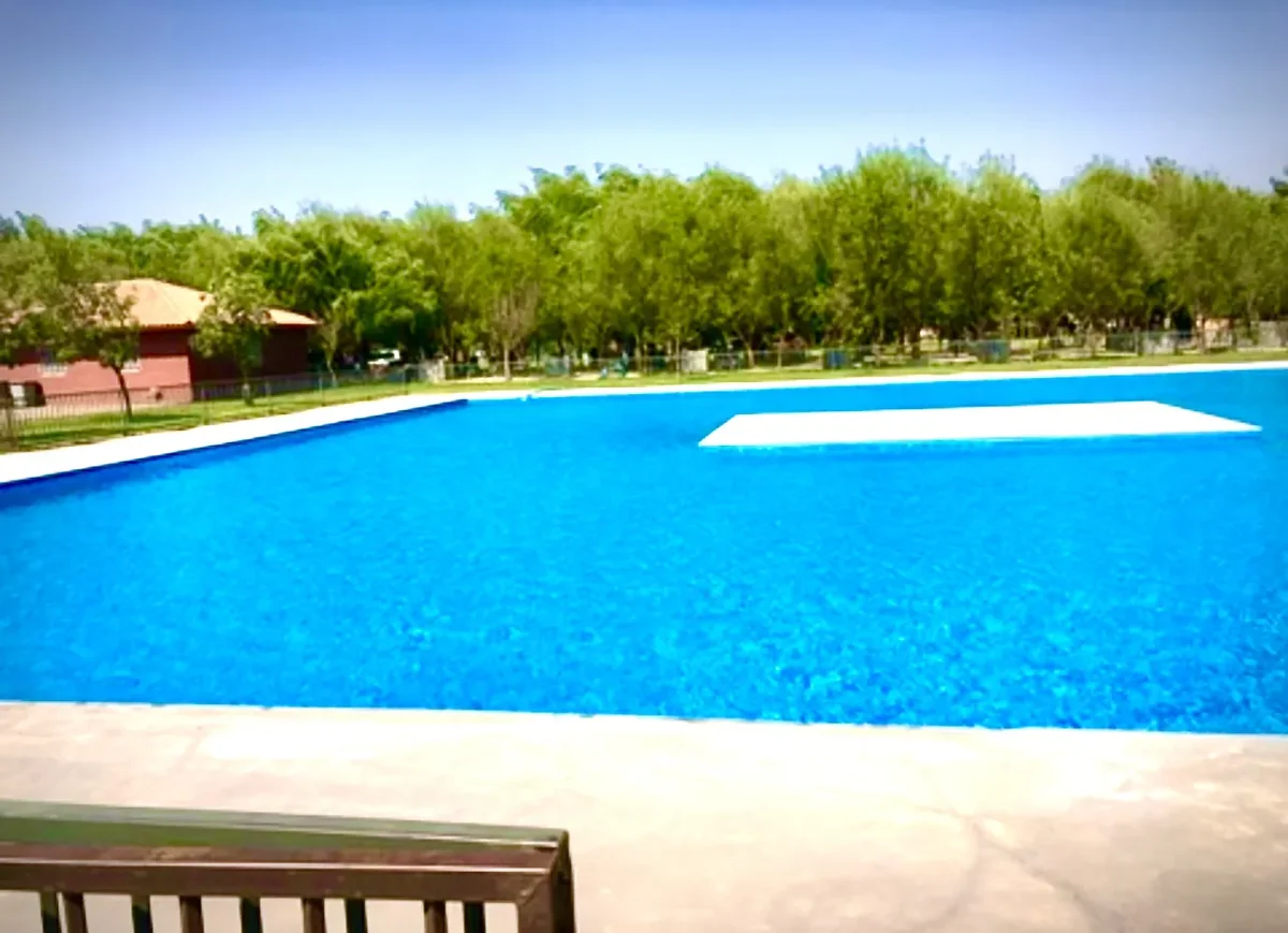 Piscina al aire libre rodeada de árboles